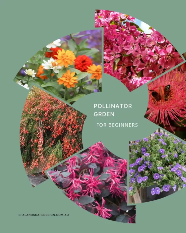 Pollinator garden for beginners