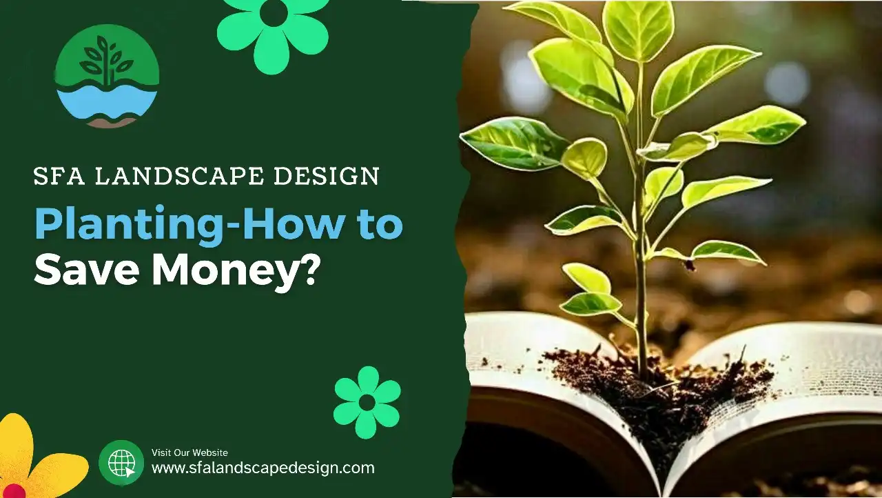 Planting-How to Save Money?