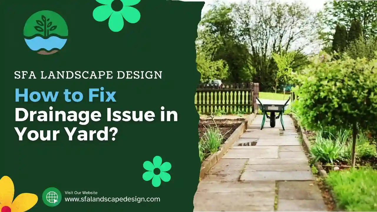 How to Fix Drainage Issue in Your Yard?