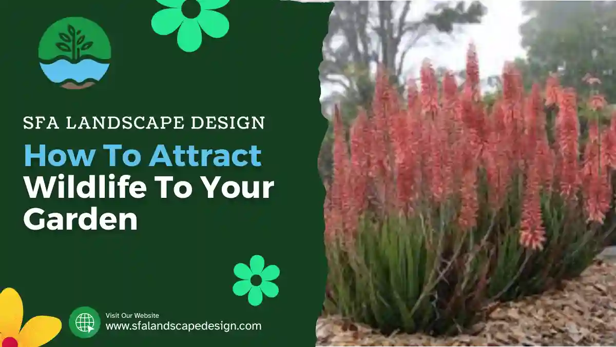 How To Attract Wildlife To Your Garden