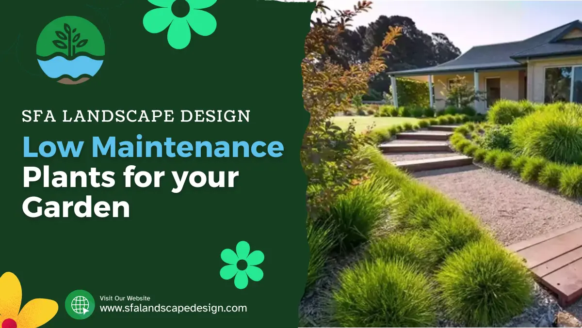 Low Maintenance Plants for your Garden