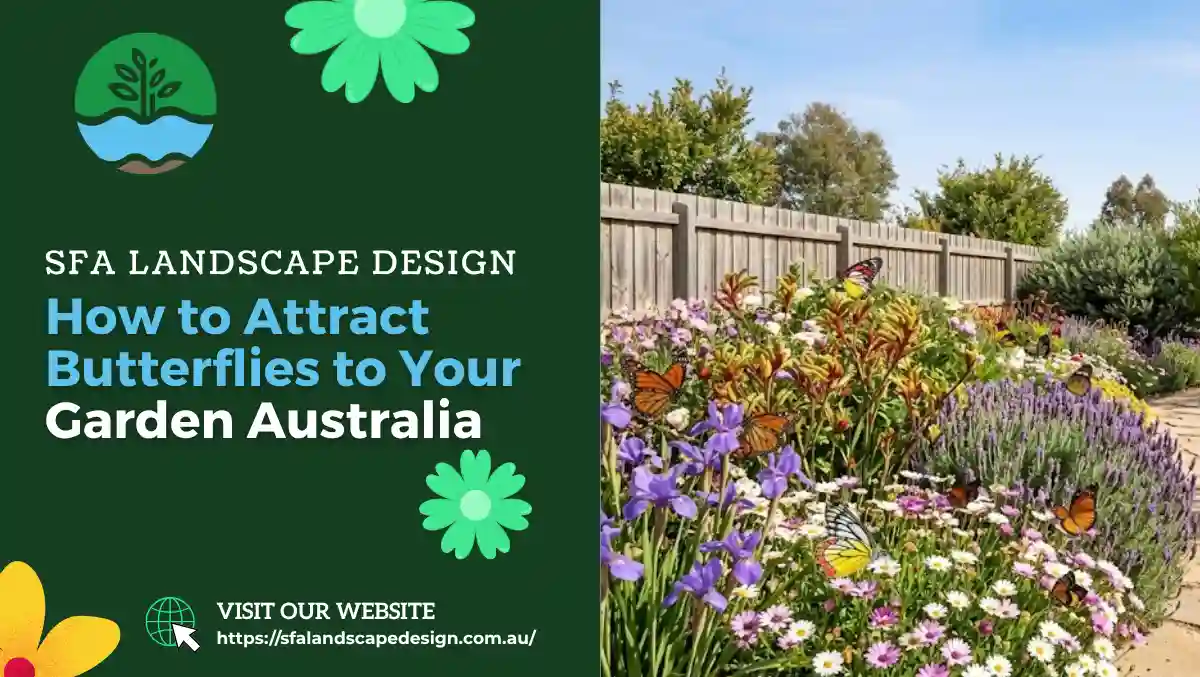 How to Attract Butterflies to Your Garden Australia