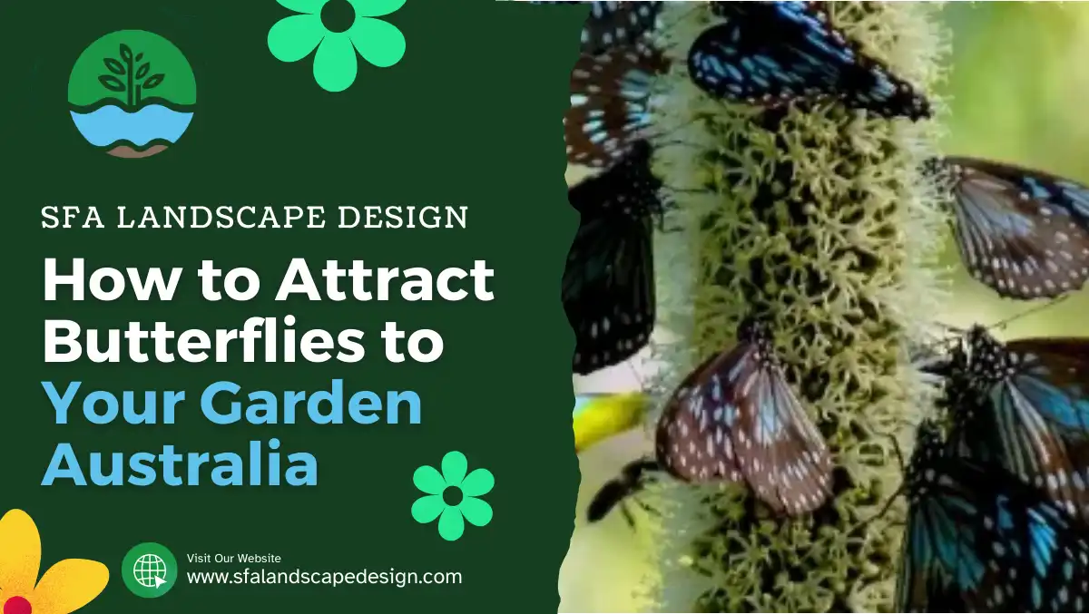 How to Attract Butterflies to Your Garden Australia