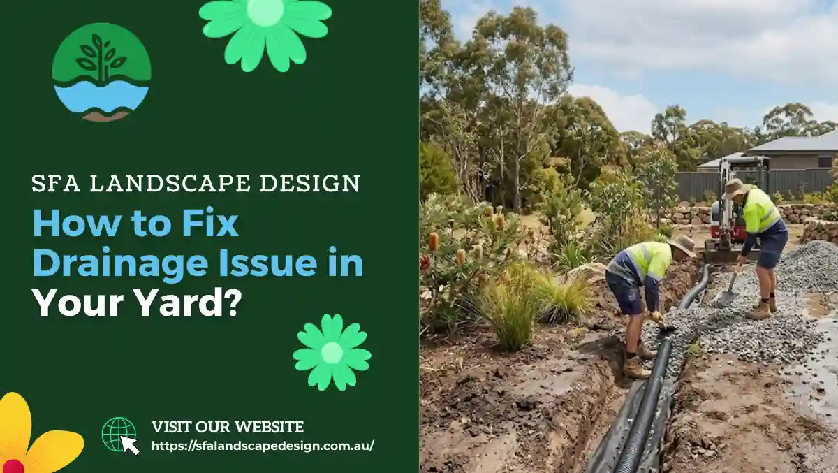 How to Fix Drainage Issue in Your Yard?