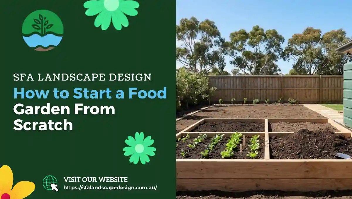 How to Start a Food Garden From Scratch